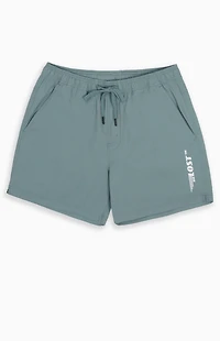 LOST Wings Stormy Blue Swim Trunks