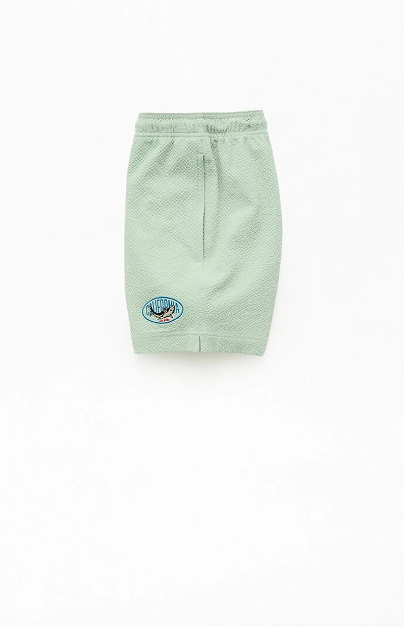 Pacsun Cali Seersucker 4.5" Swim Trunks