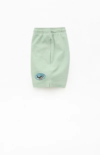Pacsun Cali Seersucker 4.5" Swim Trunks