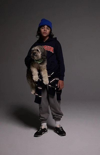 Pacsun Kids Gray Jogger Sweatpants