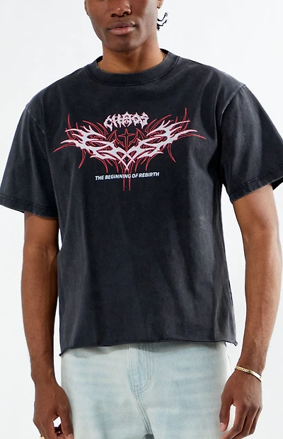 Pacsun Chaos Cropped T-Shirt