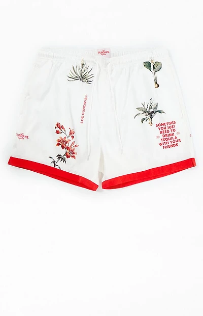 Los Sundays Sometimes 5" Swim Trunks