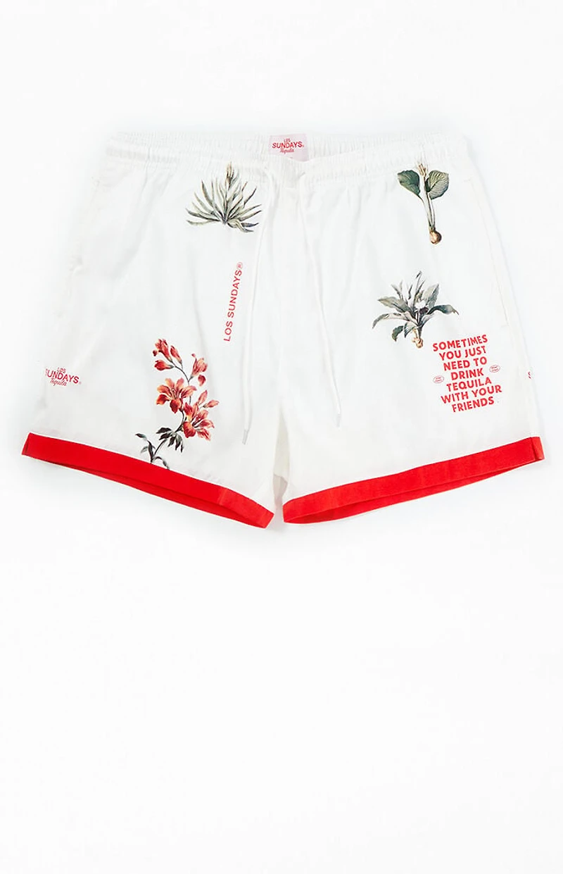 Los Sundays Sometimes 5" Swim Trunks