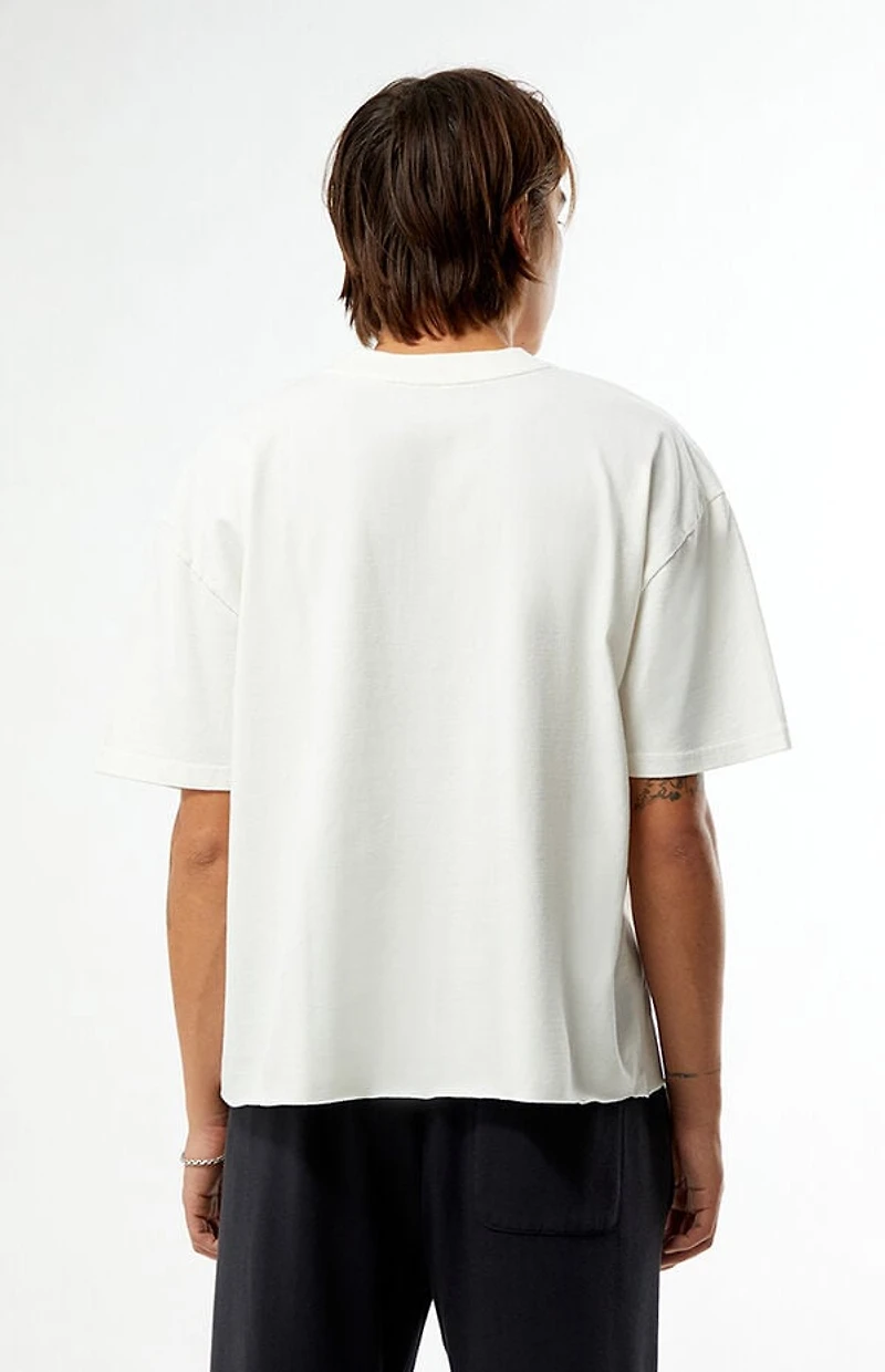 Pacsun Echoes Cropped T-Shirt