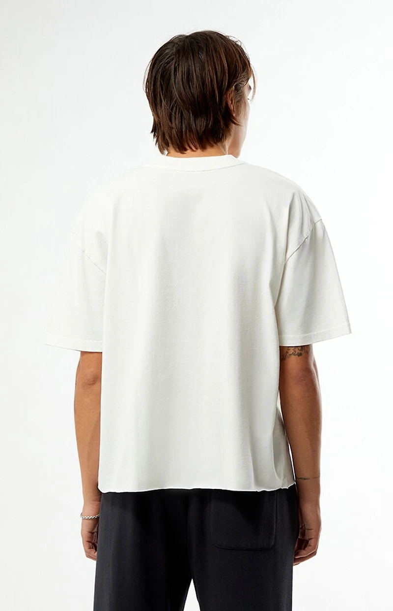 Pacsun Echoes Cropped T-Shirt