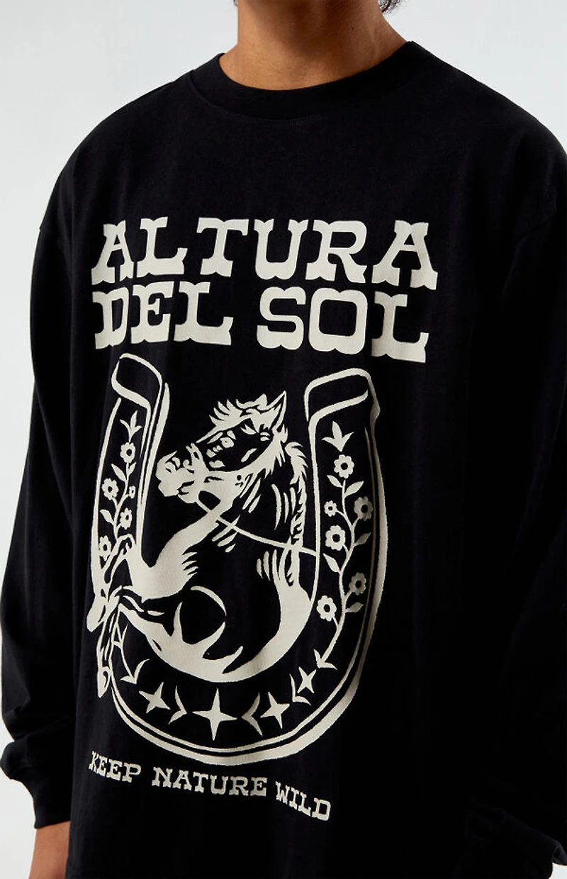 Pacsun Altura Del Sol Long Sleeve T-Shirt