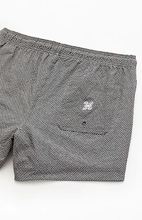 Pacsun Mini Check Seersucker 4.5" Swim Trunks