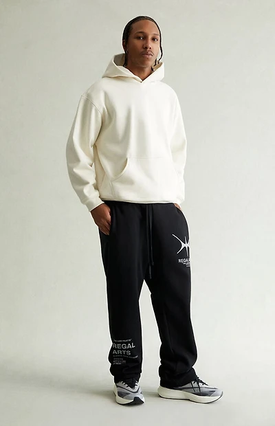 Pacsun Regal Arts Baggy Sweatpants