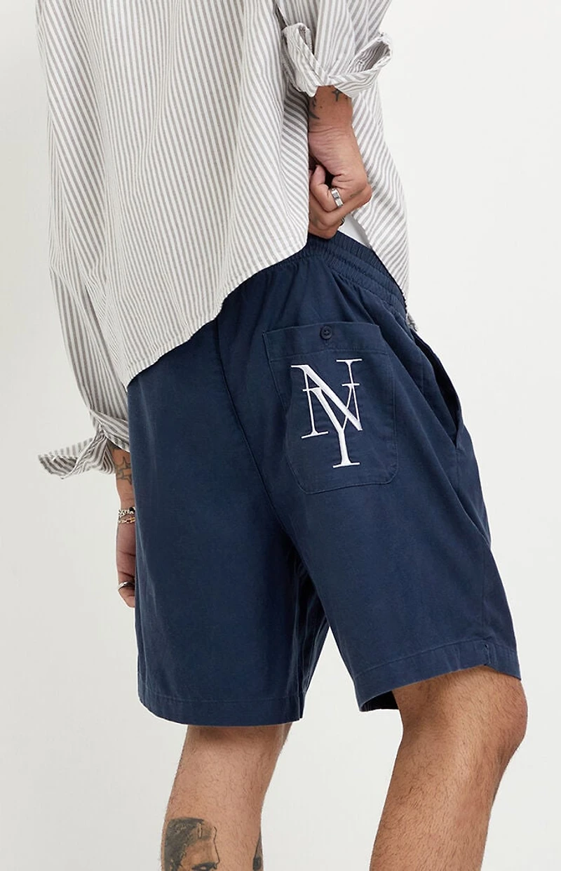Pacsun NY Embroidered Russel Volley Shorts