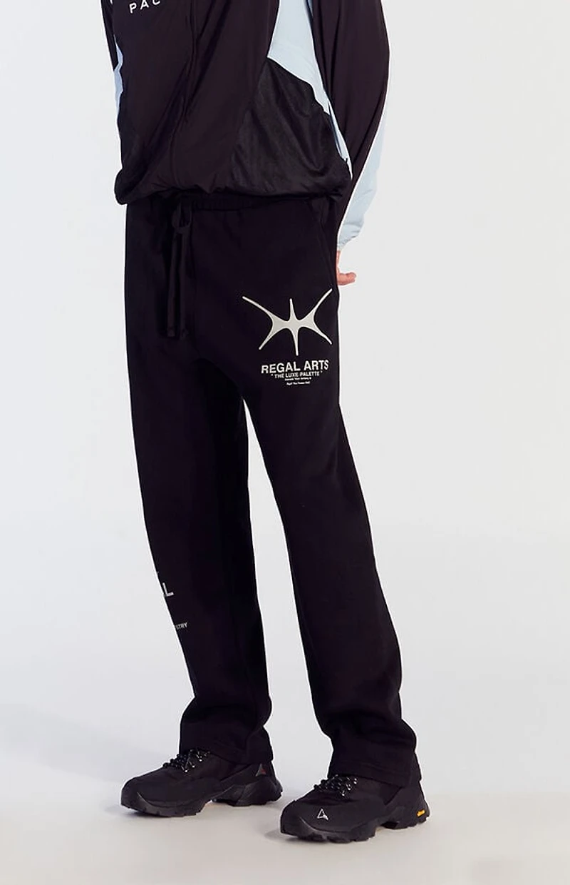Pacsun Regal Arts Baggy Sweatpants