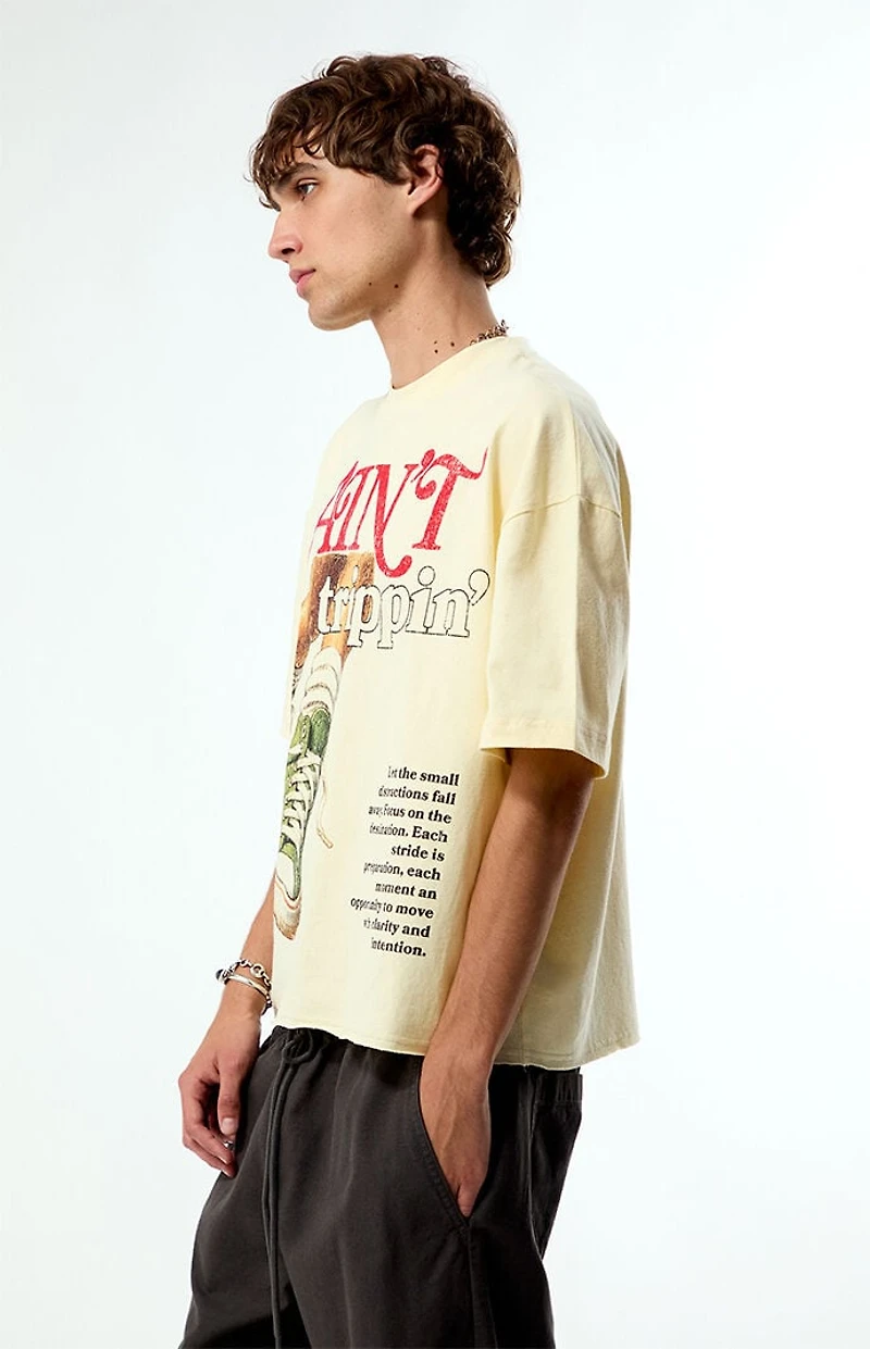 Pacsun Ain't Trippin Cropped Boxy T-Shirt