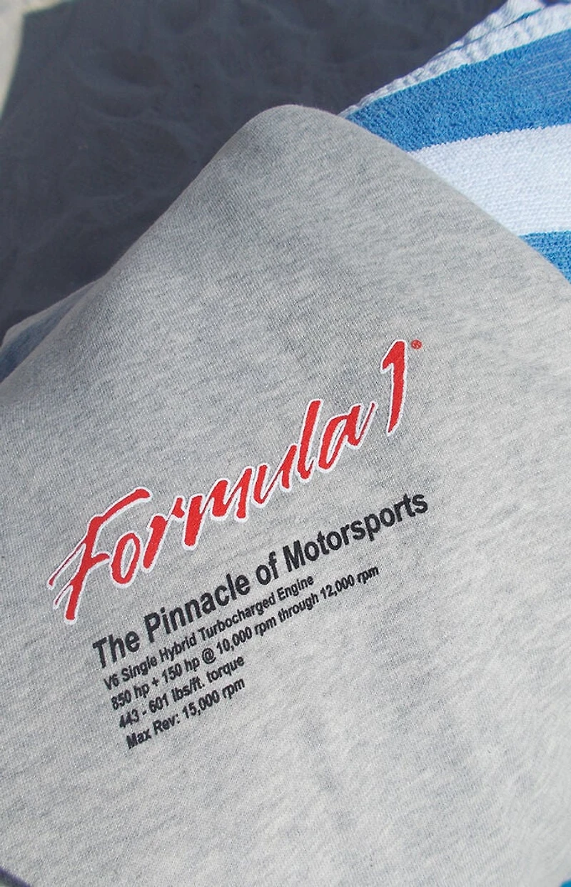 Formula 1 x PacSun Specs Hoodie