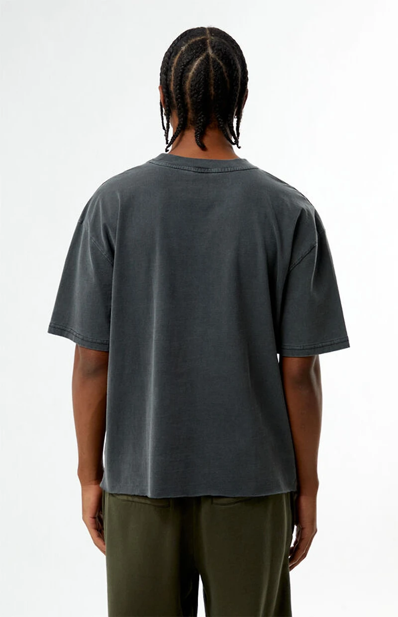 Pacsun Metamorphosis Cropped T-Shirt