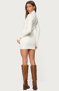 Edikted Turtle Neck Ribbed Knit Mini Dress