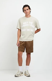 Pacsun Brown Aaron Mesh Volley Shorts