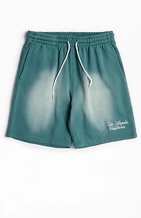 Pacsun Green Potassium Fleece Volley Sweat Shorts