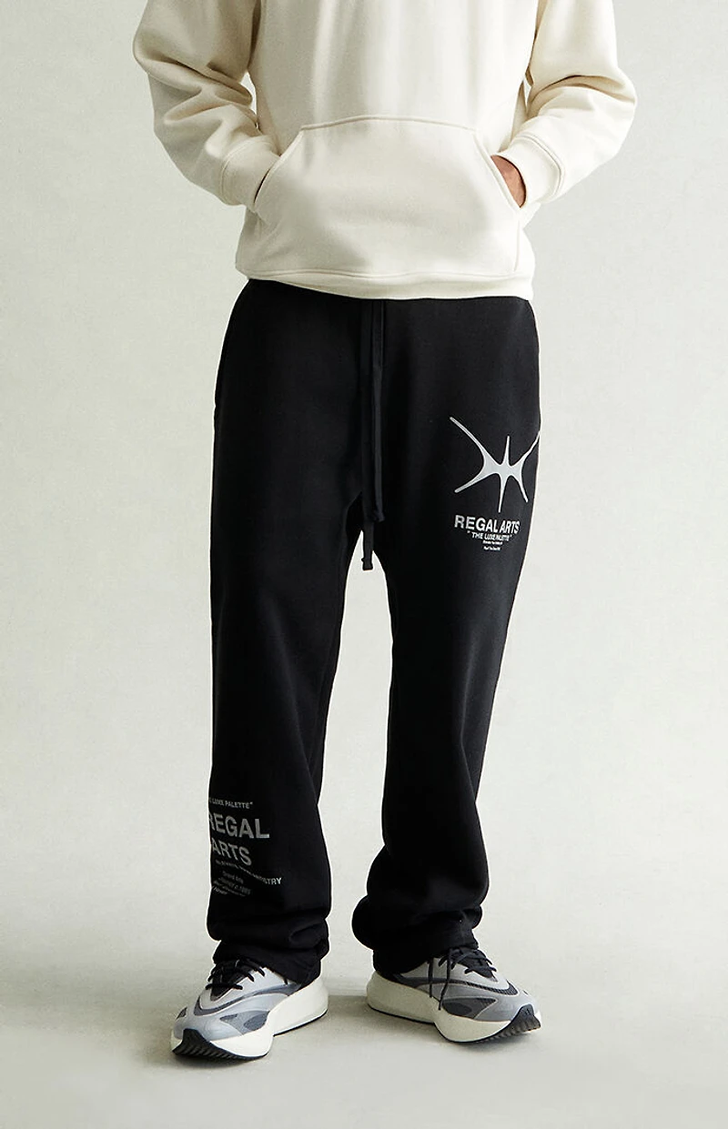 Pacsun Regal Arts Baggy Sweatpants