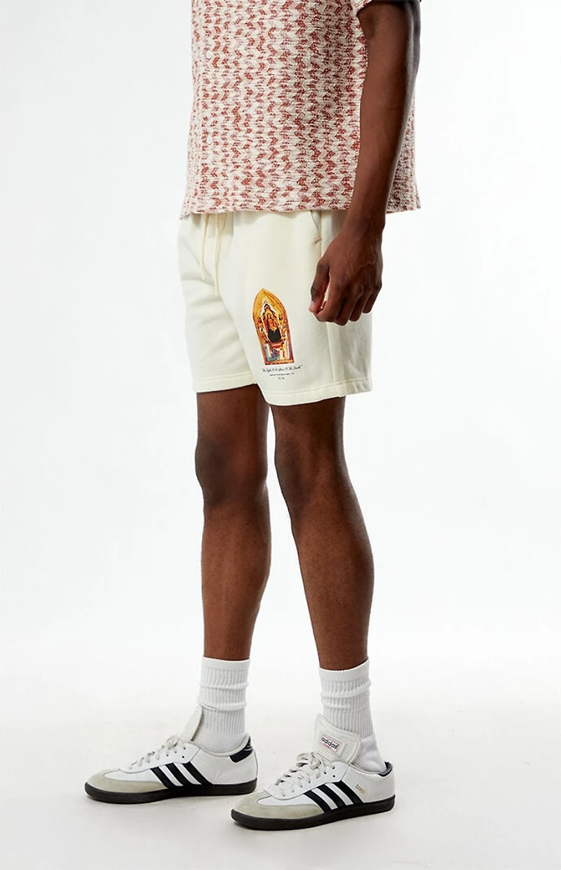 Pacsun Madonna Fleece Sweat Shorts
