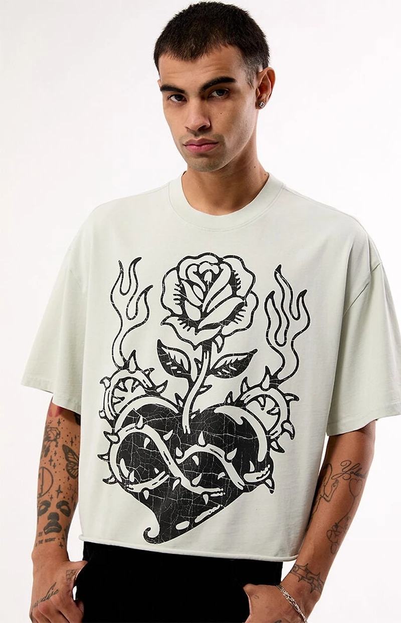 Pacsun Heartfelt Cropped T-Shirt