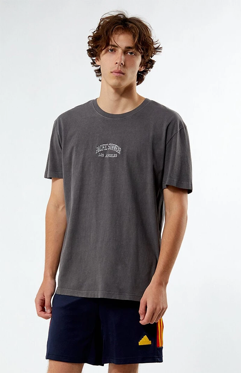 Pacsun Los Angeles Embroidered Vintage Wash T-Shirt