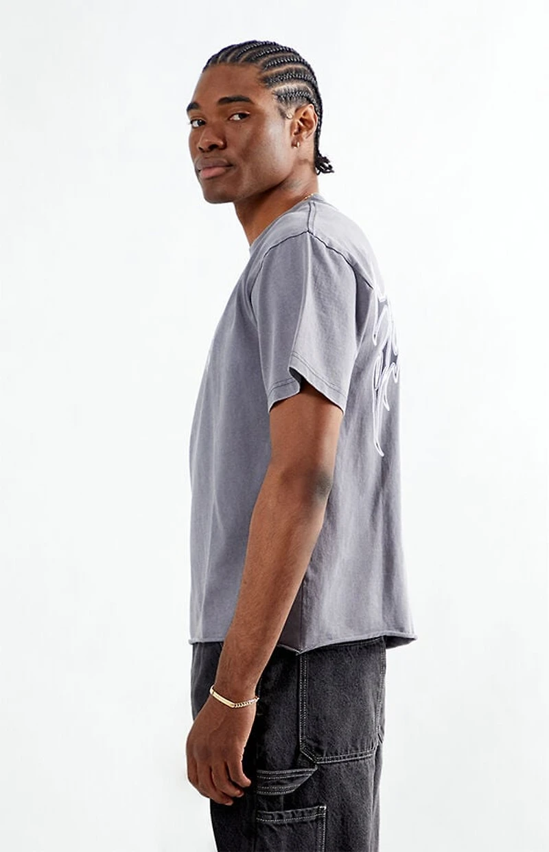 Pacsun Torment Cropped T-Shirt