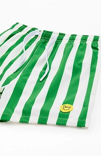 Duvin Design Kids Green Stripe Traveler 3.5" Swim Trunks