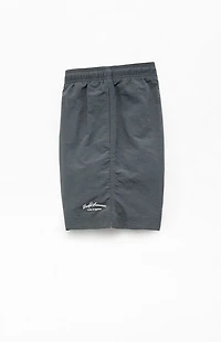 Pacsun Collegiate 6.5" Swim Trunks