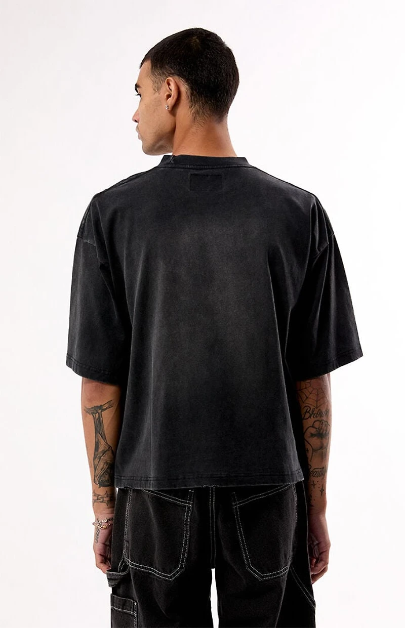 Pacsun Glory Ripped Cropped T-Shirt