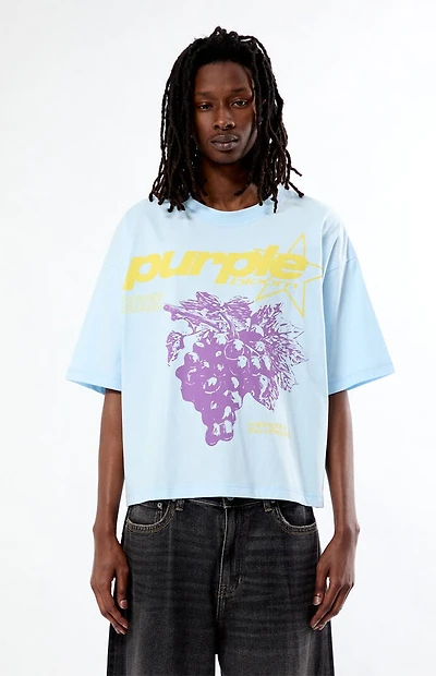 Pacsun Purple Cropped Boxy T-Shirt