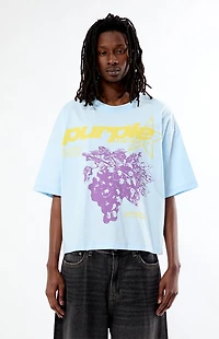 Pacsun Purple Cropped Boxy T-Shirt