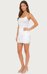 Edikted Caya Embroidered Floral Mesh Mini Dress