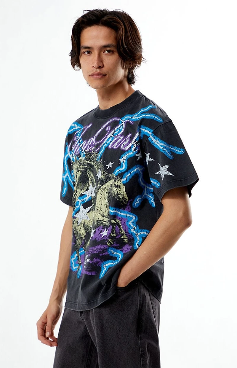 Pacsun Zion Park Oversized T-Shirt