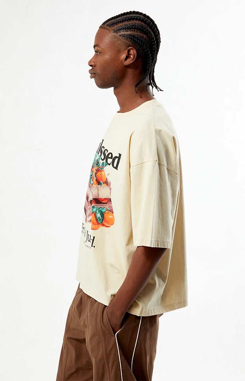 Pacsun Sunkissed Cropped Boxy T-Shirt