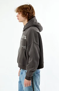 Pacsun Regal Arts Cropped Hoodie