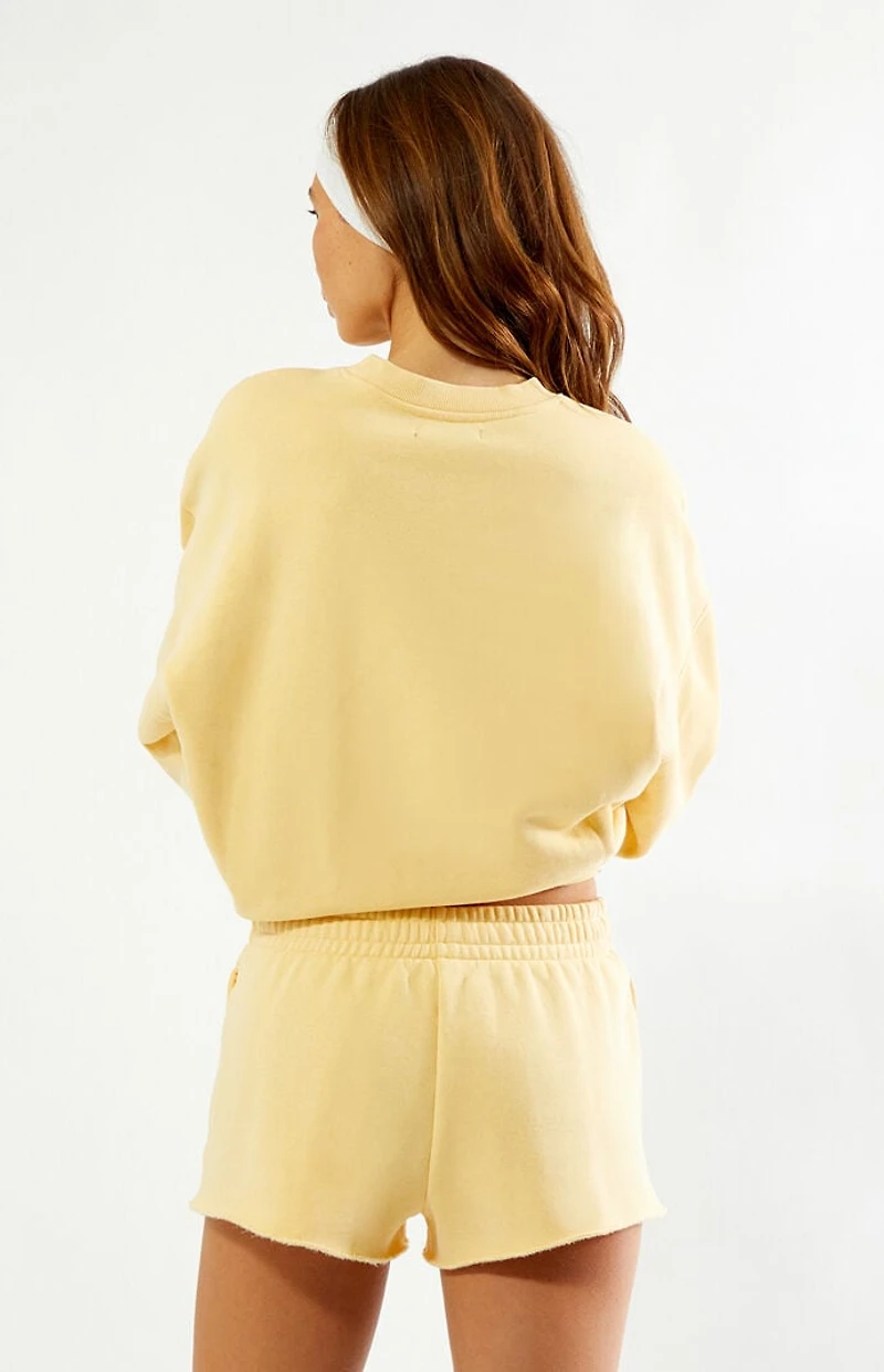 Pacsun Ultra Soft Fleece Core Mini Sweat Shorts