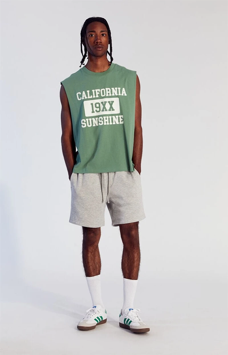 Pacsun Fleece Grey Sweat Shorts