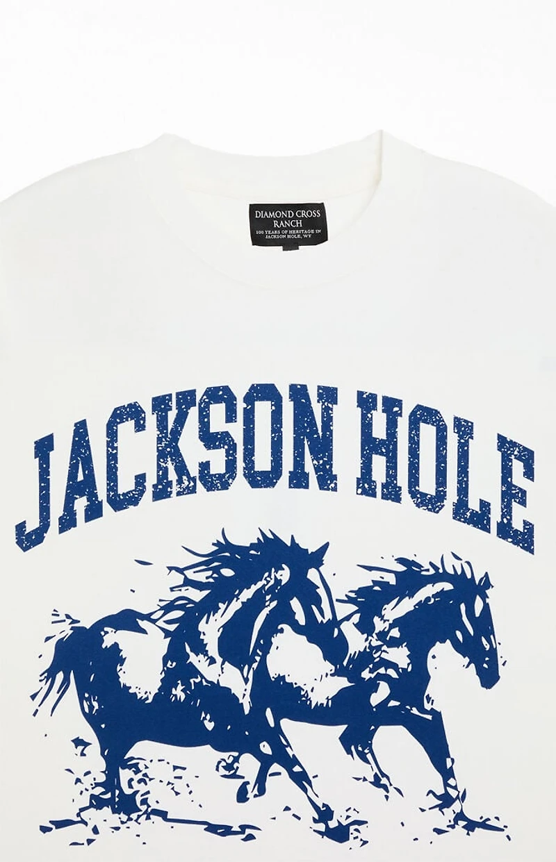 Diamond Cross Ranch Jackson Hole T-Shirt