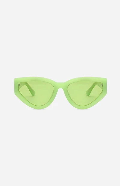 INDY Sunglasses Nolita Hawaiian Tropic Sunglasses