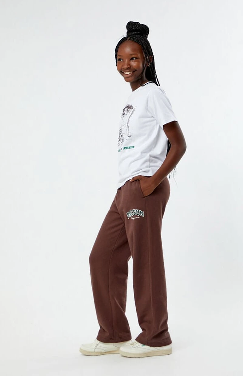 Pacsun Kids Brown Logo Baggy Sweatpants