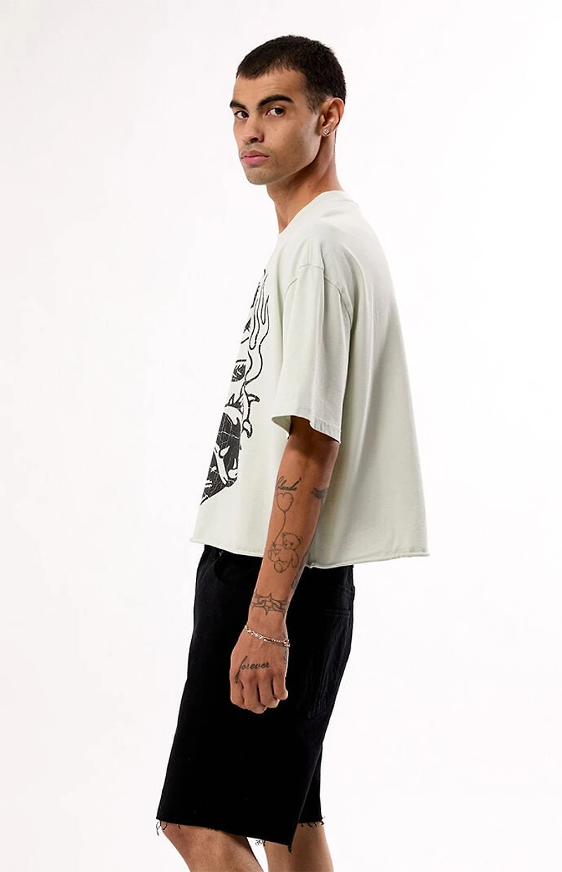 Pacsun Heartfelt Cropped T-Shirt