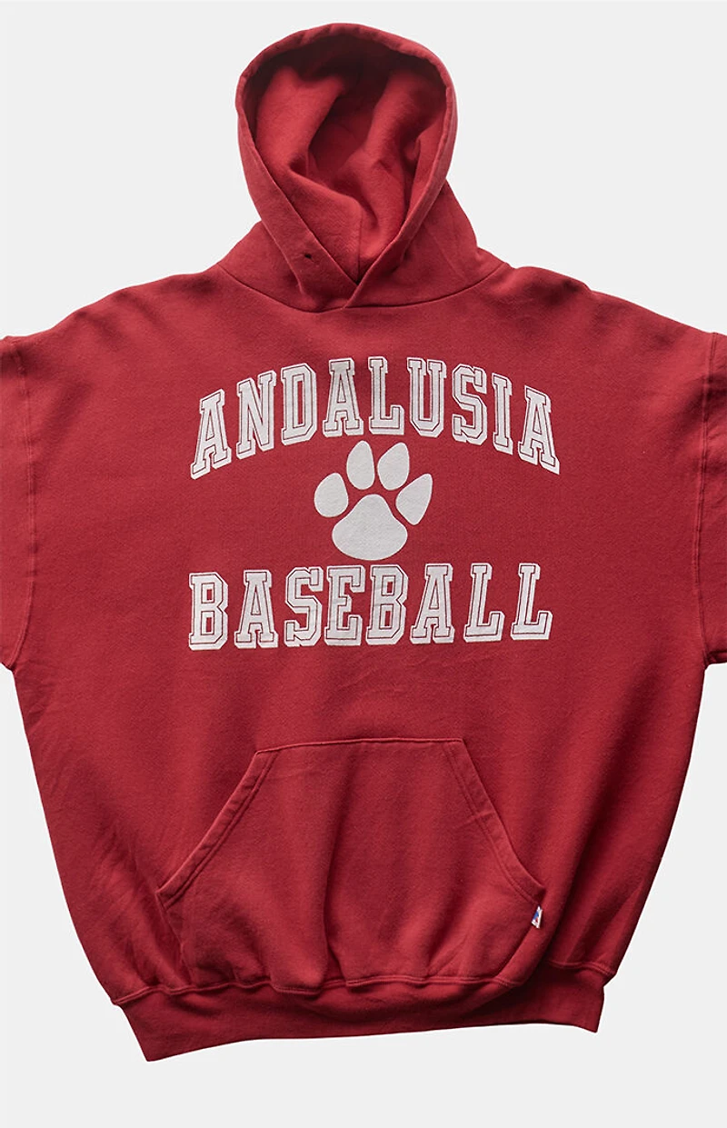 PS VINTAGE 2000s Andalusia Baseball Russell Hoodie