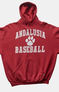 PS VINTAGE 2000s Andalusia Baseball Russell Hoodie