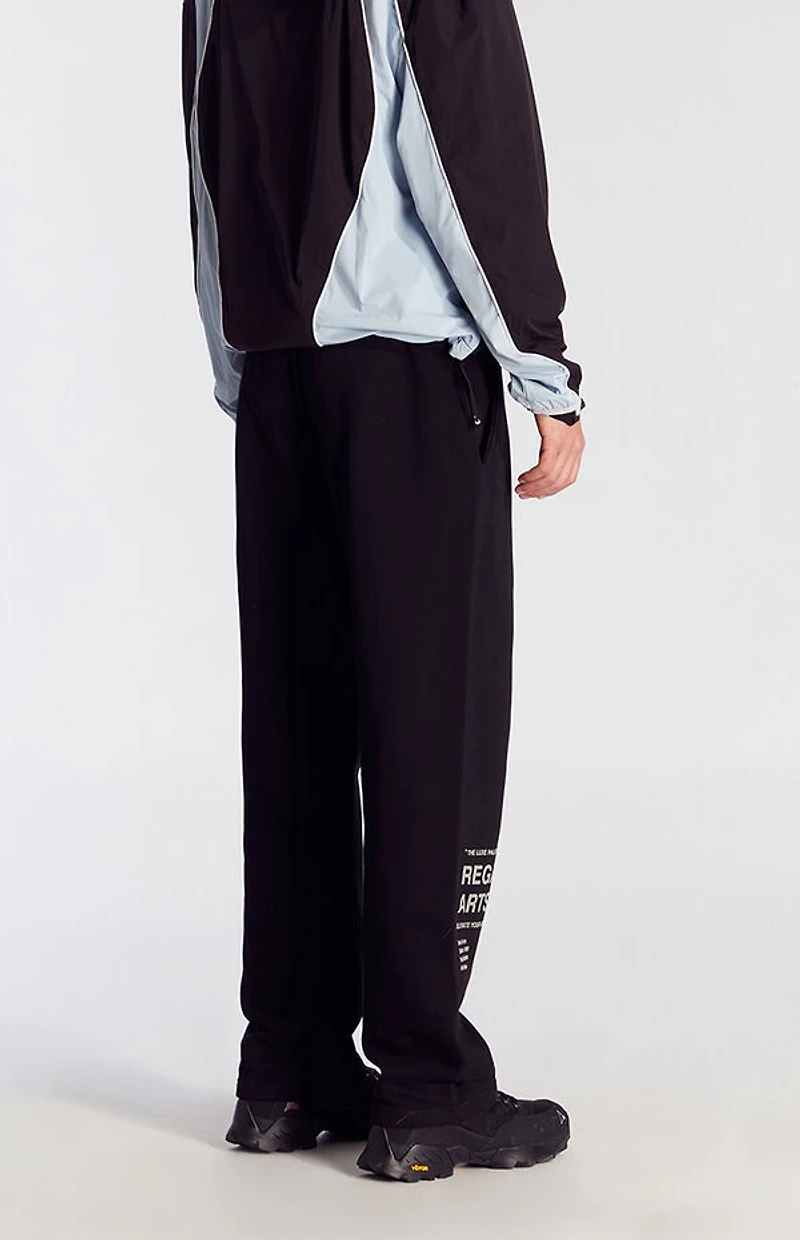 Pacsun Regal Arts Baggy Sweatpants