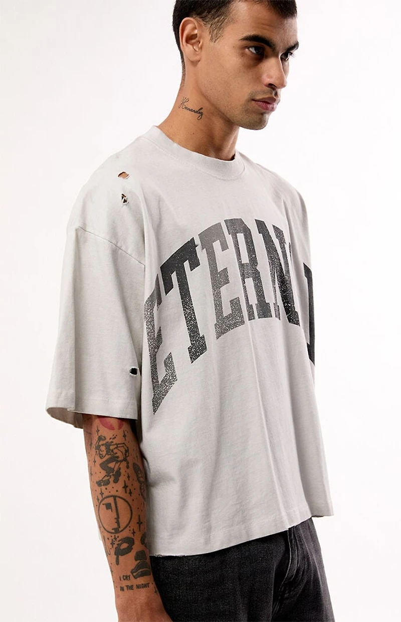 Pacsun Eternal Ripped Cropped T-Shirt