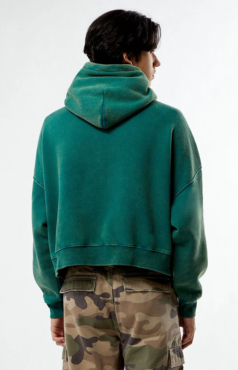 Pacsun Expression Cropped Hoodie