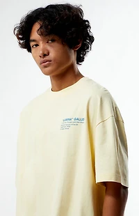 Pacsun Lumina Gallery Cropped Boxy T-Shirt