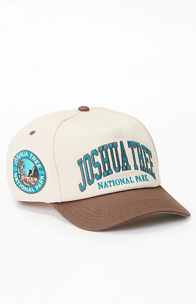 American Needle Joshua Tree National Park Snapback Hat
