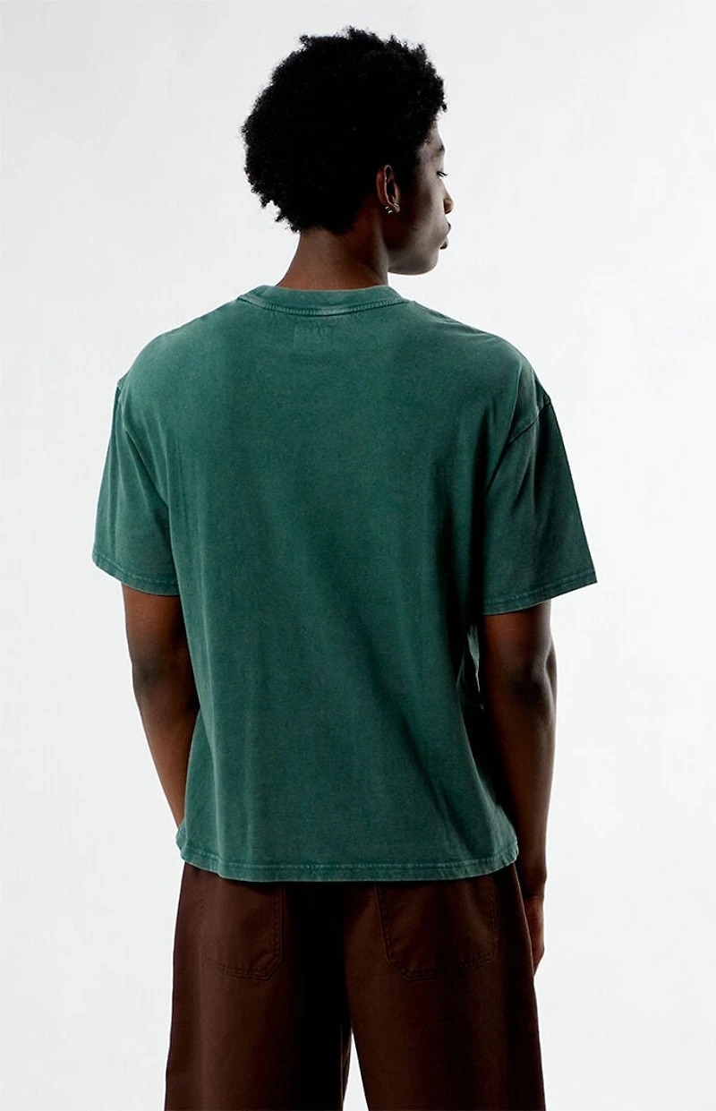 Pacsun Beginnings T-Shirt