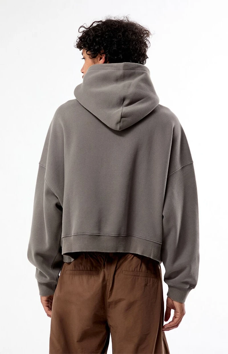 Pacsun Relentless Momentum Cropped Hoodie
