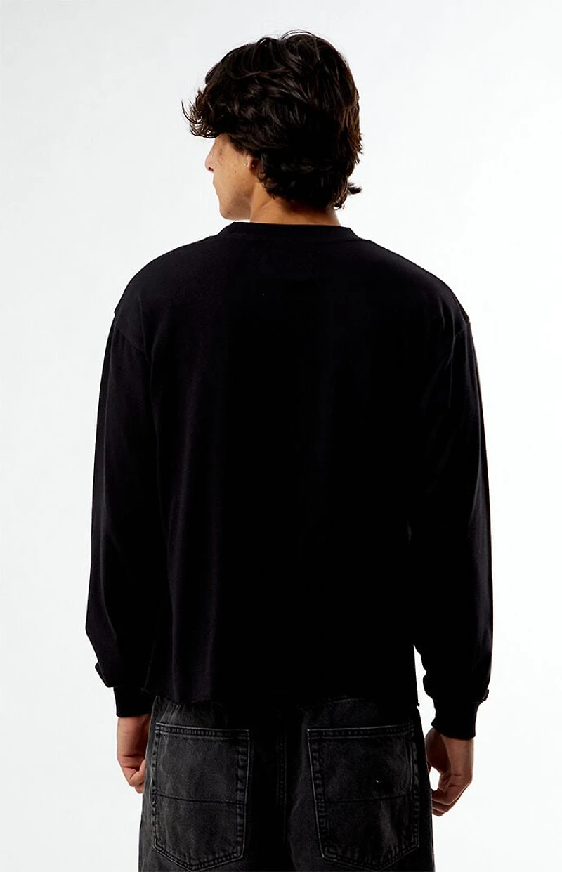 Pacsun Grace From Chaos Cropped Long Sleeve T-Shirt